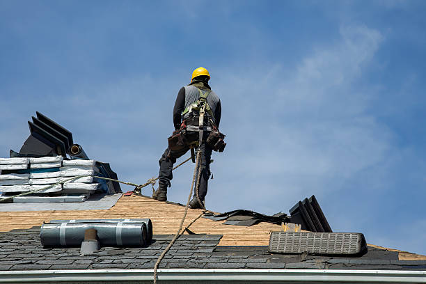 Professional Roof Replacement technician working in Olivia, MN